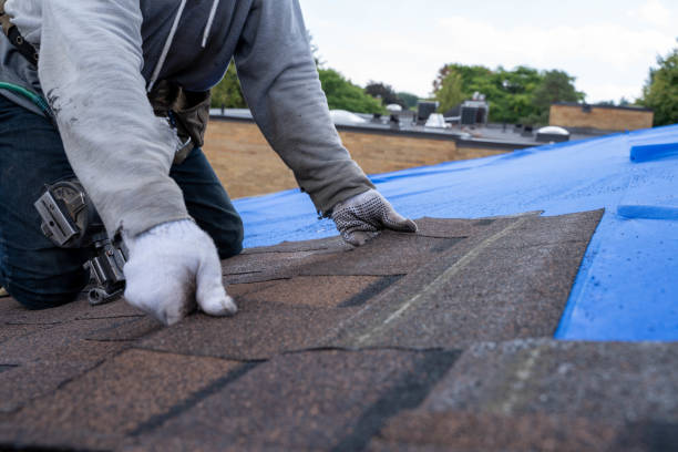 Professional Roofing Contractor in Auburn, MI