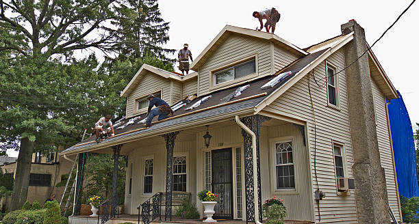 Best Roof Gutter Cleaning  in Auburn, MI