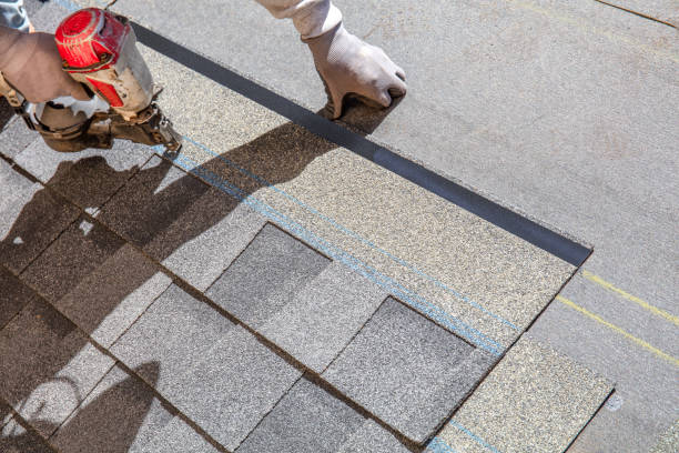 Best Local Roofing Companies  in Auburn, MI