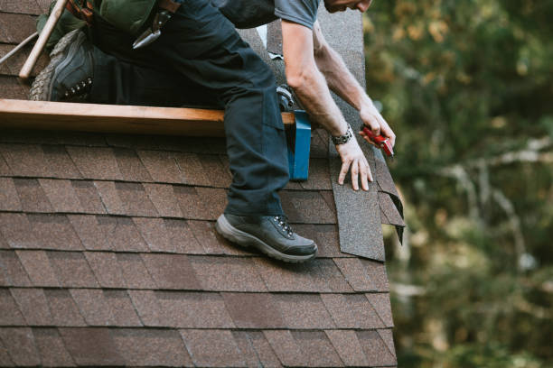 Best Roof Gutter Cleaning  in Auburn, MI
